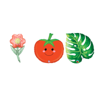 Obst & Pflanzenballons