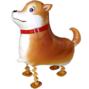 Folienballon - Airwalker Hund Shiba - Inu - S - 50 cm /...