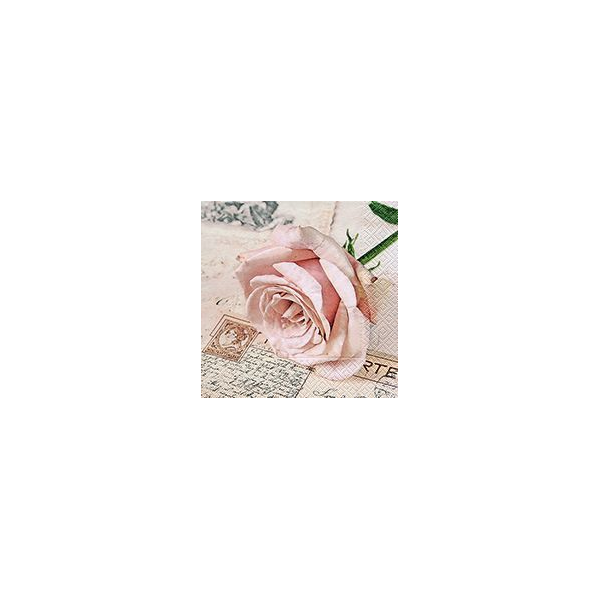 Servietten - Postcard Rose - 33x33mm (20)