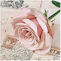 Servietten - Postcard Rose - 33x33mm (20)