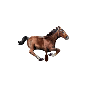 Folienballon - Figur Galopp Pferd - XXL - 101 cm / 0,09...
