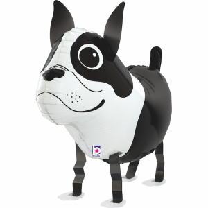 Folienballon - Airwalker Hund Boston Terrier - S - 48 cm...
