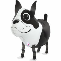 Folienballon - Airwalker Hund Boston Terrier - S - 48cm/0,03m³