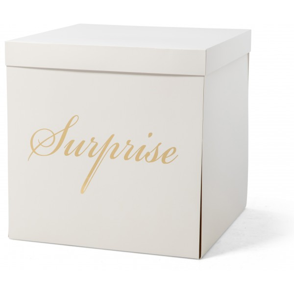 Überraschungsbox - Weiss - Surprise - XXL